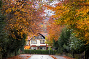 house in autumnal leaves